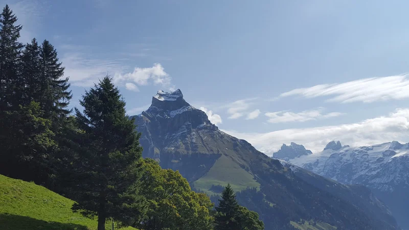 Bryn Switzerland 5